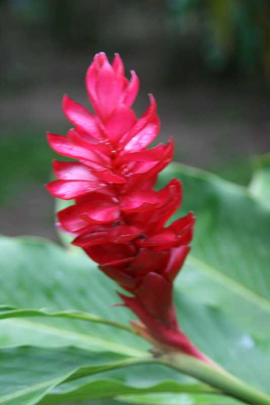 Mexico & Guatemala 2010 - 0197